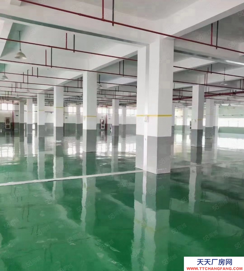 嘉兴平湖(出售) 平湖周边20亩出售，厂房面积17000平方，厂房形象好，
