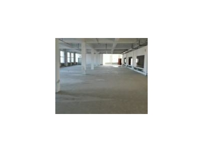 (出售) 大岭工业开发区双层厂房出租出售，全部框架混凝土结构图1