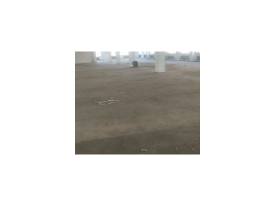 (出租) 新开大街400至2080平米仓库出租 可做暖库和医药仓库图2