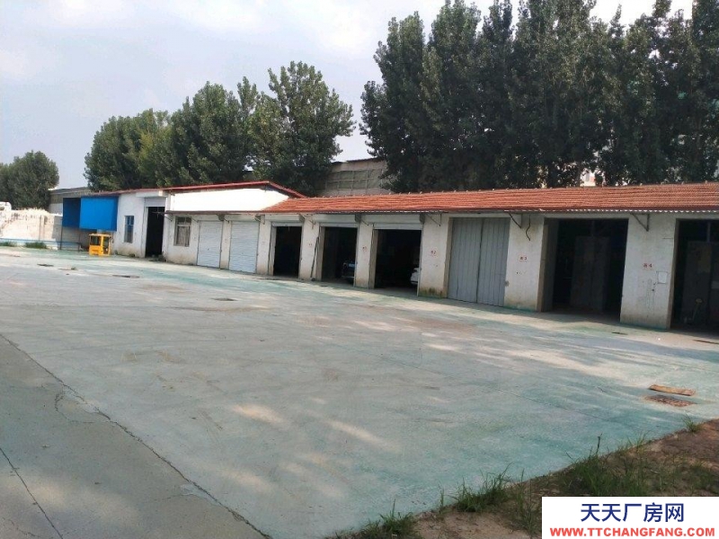 滨州滨城喜鹊湖附近大型仓库出租，可分租