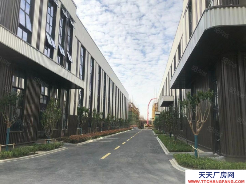 嘉兴平湖(出售) 平湖11米层高厂房出售 首付2成租金回5 个人可购买