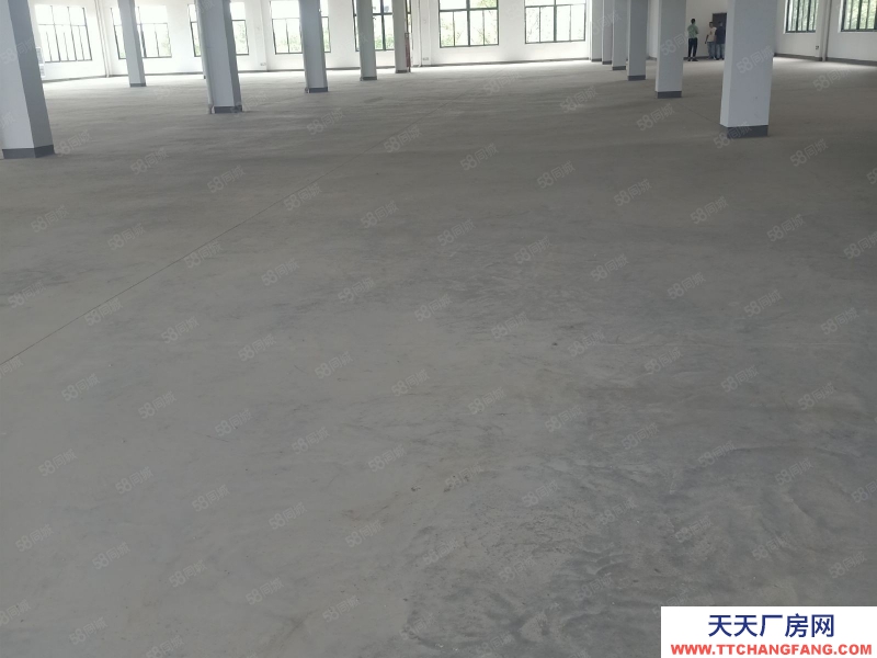嘉兴桐乡(出租) 河山工业园区，厂房出租9000平方，可以分割，大车好讲出