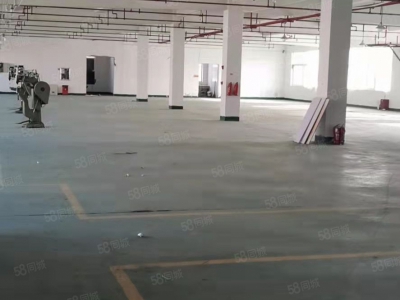 嘉兴桐乡(出租) 金马转盘旁瓯华独栋厂房8100平，可分租1350平2700平图1