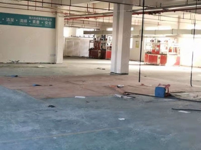 嘉兴桐乡(出租) 金马转盘旁瓯华独栋厂房8100平，可分租1350平2700平图2