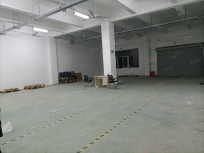 (出租) 深圳一楼小面积物流仓库出租福永新和大型园区精装修600平厂房出租图1