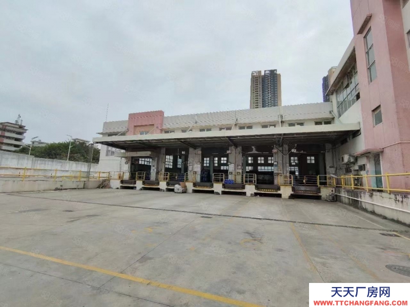 (出租) 深圳石岩红本独院钢构5000平一楼厂房出租物流仓库带卸货平台分租