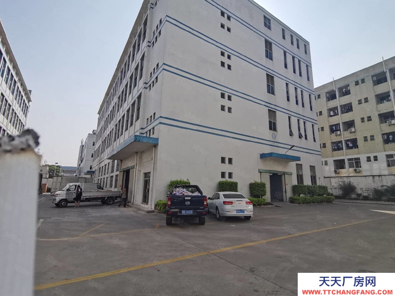 (出租) 深圳福永新和下十围交界新出30000平米办公贸易物流仓库厂房出租