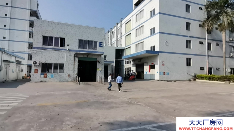 (出租) 深圳沙井共和一楼1000平仓库出租200平起分租空地大挂车可掉头