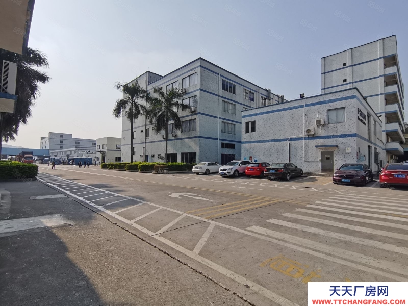 (出租) 深圳沙井共和一楼1000平仓库出租200平起分租空地大挂车可掉头