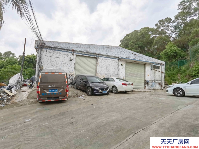 (出租) 深圳西丽留仙洞 单一层1100平 租金30元层高5米
