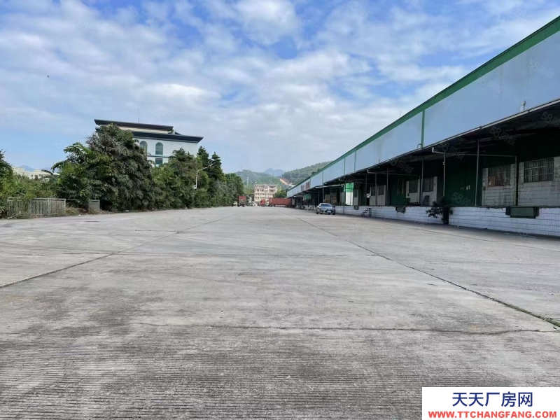 (出租) 深圳标准高台库，装卸平台，丙二类消防喷淋，可分租