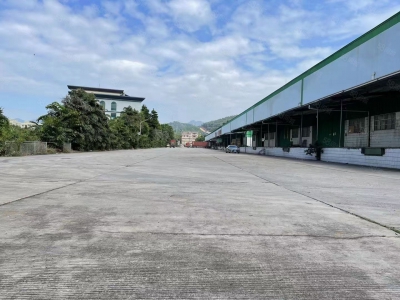 (出租) 深圳标准高台库，装卸平台，丙二类消防喷淋，可分租图2