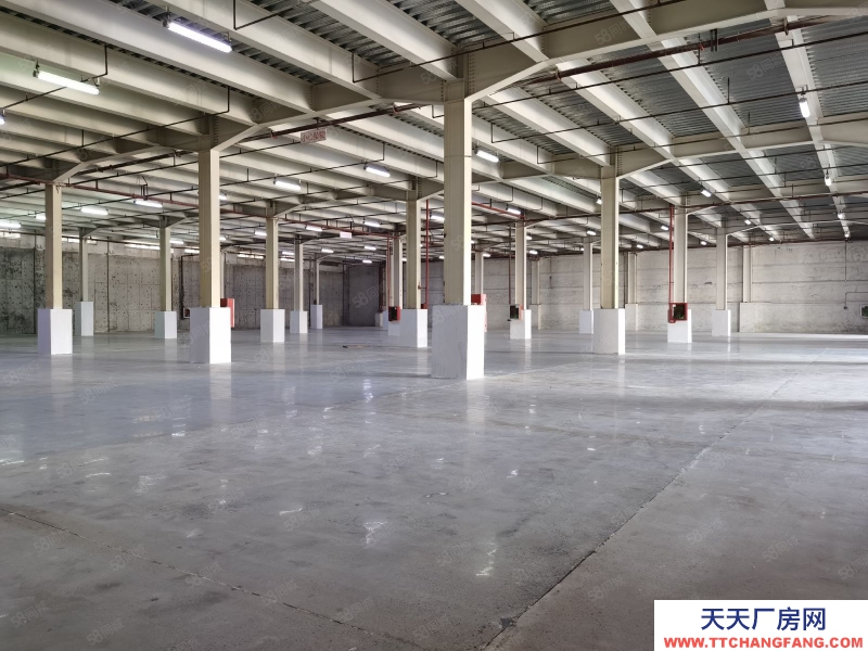 (出租) 深圳标准高台库，装卸平台，丙二类消防喷淋，可分租