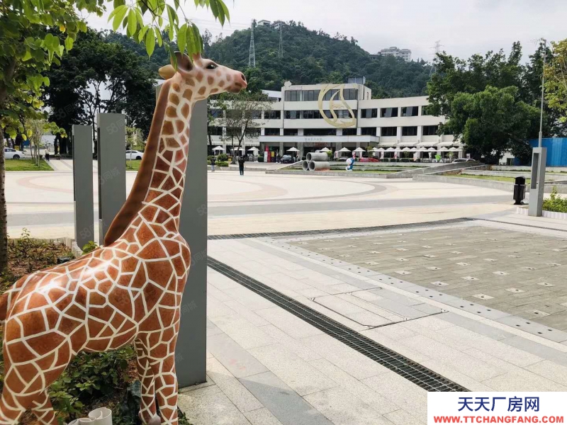 (出租) 深圳平湖华南城电商园，办公电商仓库出租316，428，735平等