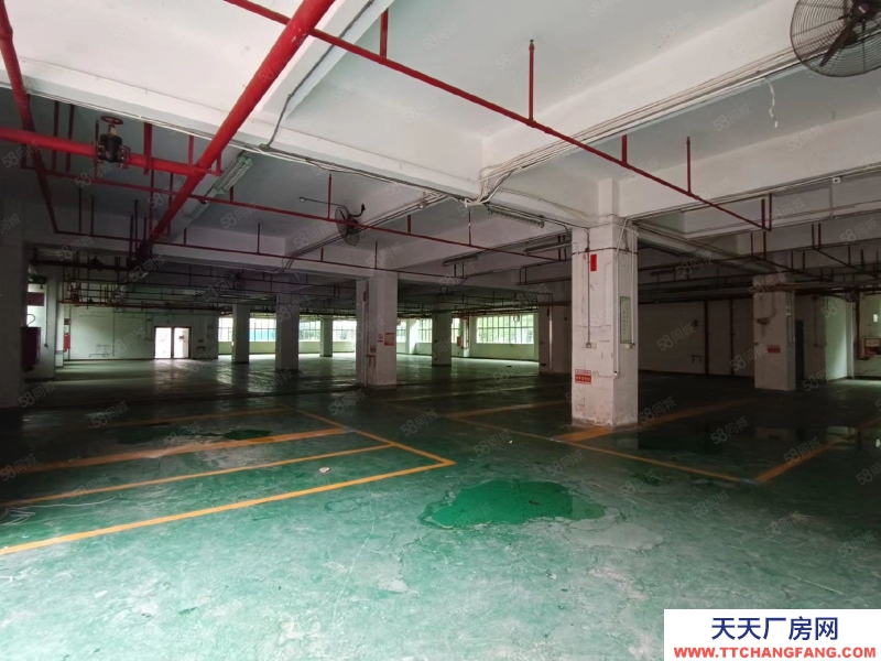 (出租) 深圳3000平方一楼物流仓库近高速地铁口出租(可做重工业厂房)