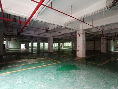 (出租) 深圳3000平方一楼物流仓库近高速地铁口出租(可做重工业厂房)图2
