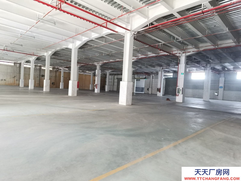 (出租) 深圳双边库，标准卸货台，丙二类，可配套货架立体库