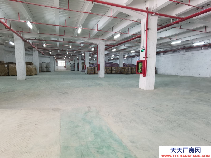 (出租) 深圳原房东出租，标准楼层仓，一楼带卸货台，2楼两吨电梯