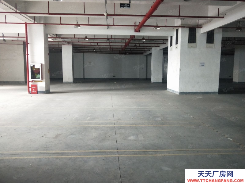 (出租) 深圳货物代管代发，市内派送，集货装柜
