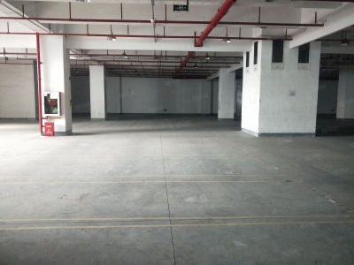 (出租) 深圳货物代管代发，市内派送，集货装柜图1