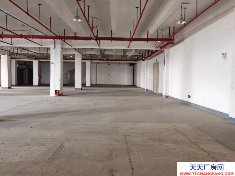 (出租) 深圳货物代管代发，市内派送，集货装柜