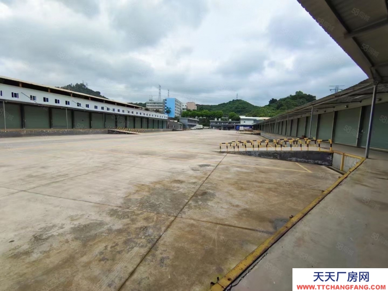 (出租) 深圳坂田物流园一楼5000平可分300平带平台