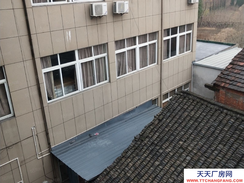 嘉兴桐乡(出售) 独门独院厂房，交通方便，院子场地大