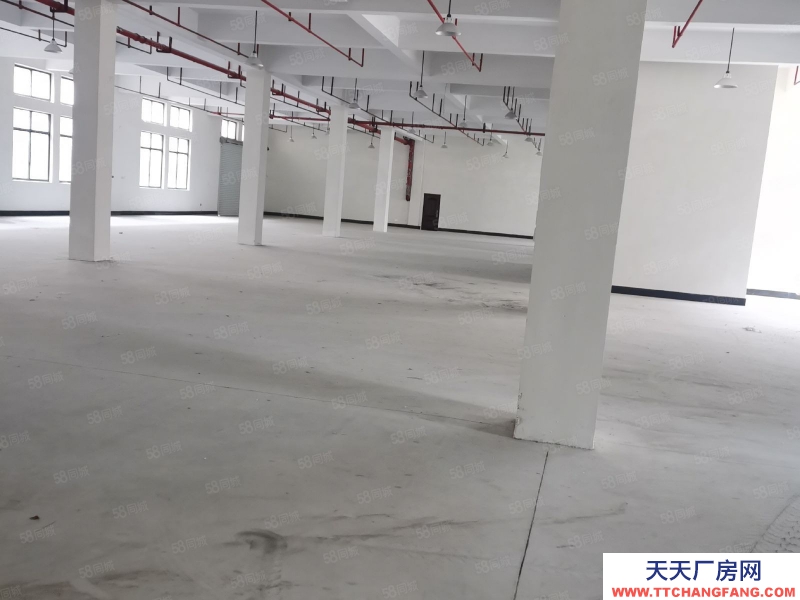 嘉兴桐乡(出售) 崇福独门独院7.6亩，建筑面积4400平米出售