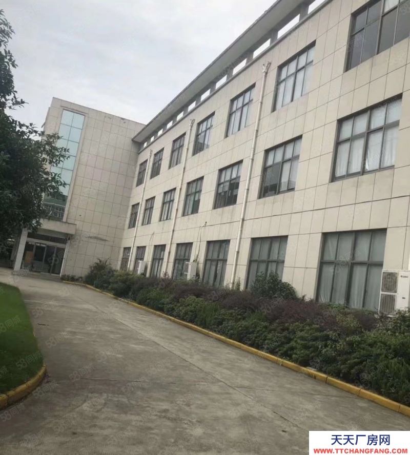嘉兴桐乡(出售) 石门工业园区独门独院厂房1至3层 土地3亩 面积3800平方