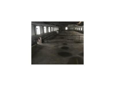 (出售) 养殖场整体出售可以养五万只鸡图4