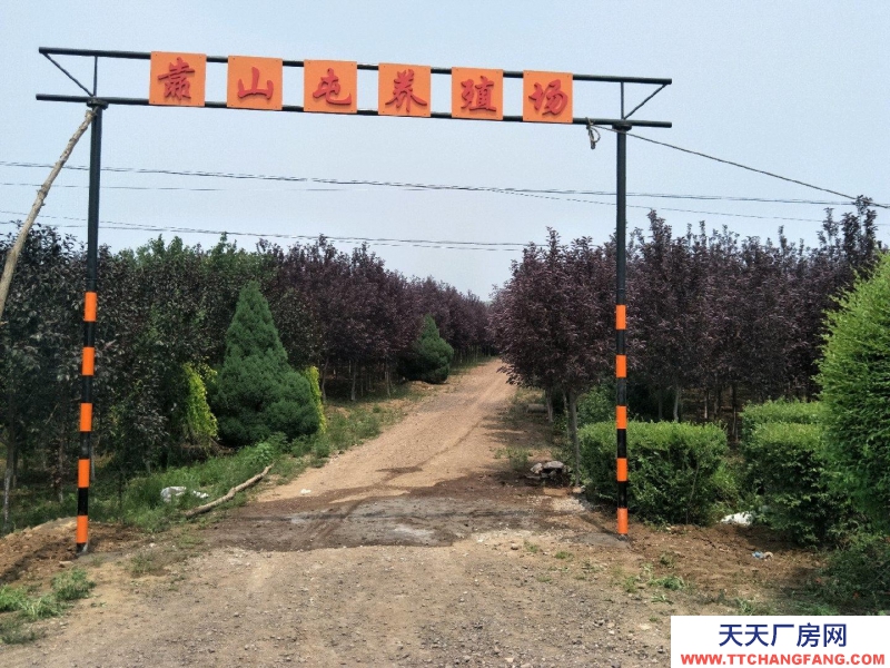 (出售) 锦州义县留龙沟养殖场26680平米