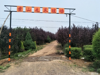 (出售) 锦州义县留龙沟养殖场26680平米图1