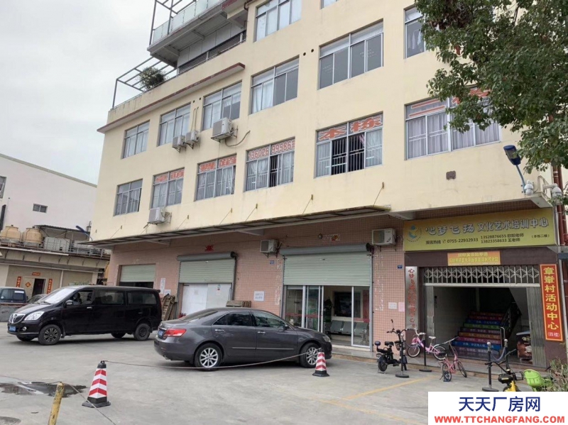 (出租) 罗湖清水河物流园冷冻、冷藏仓库，可分租，可以打包
