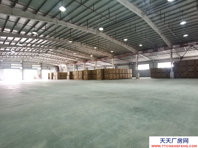 (出租) 深圳盐田港高台库出租，标准卸货台，可分租，配套仓储服务