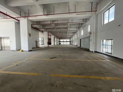 （出租）深圳市盐田区房东直租非中介图1
