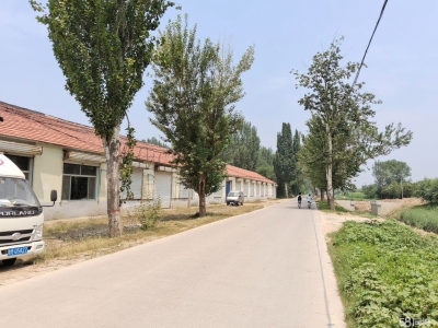 滨州阳信地理位置优越，停车方便，交通便利，图1