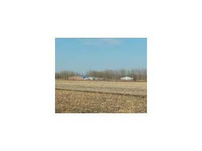 (出售) 惠发街烧锅村 猪舍场地 5000平米图1