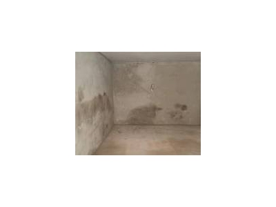 (出租) 库门就在马路边，可进车可存货，开麻将馆等都挺适合。图1