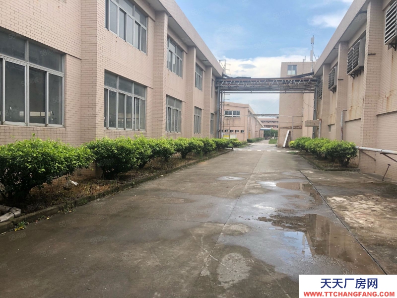 (出租) 珠海白蕉开发区独院厂房1100平米招租