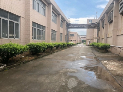 (出租) 珠海白蕉开发区独院厂房1100平米招租图1