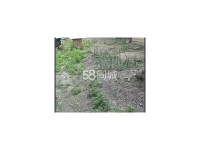 (出租) 价格面议适合洗车行或者加工厂图3