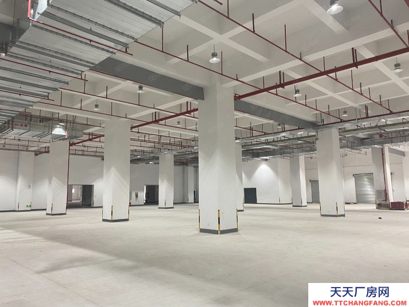 (出租) 珠海国企正方系厂房仓库出租，符合大部分物理条件，物流便利