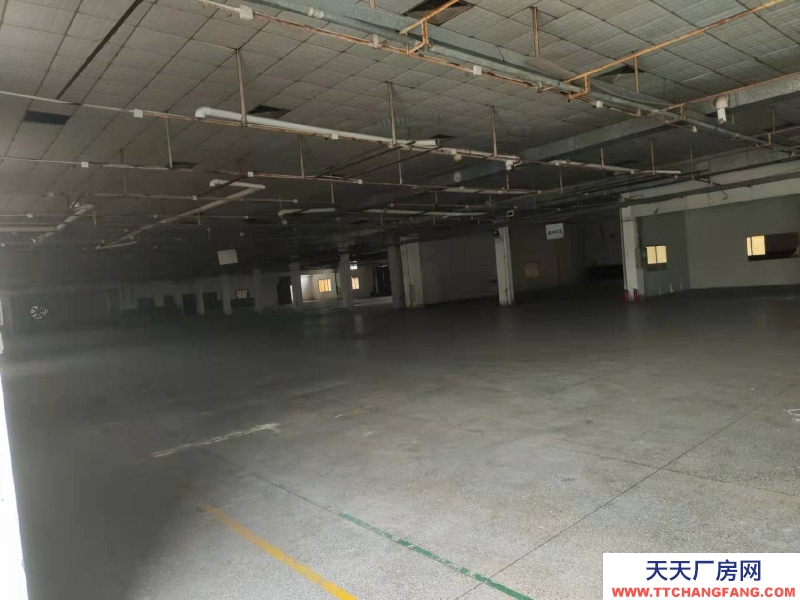(出租) 珠海金湾区独门独院3000平方单一层仓库出租可做生产