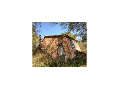 (出售) 原养鸡场出售，占地3000平米图2