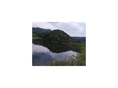 (出售) 厂房出售 农家院山庄土地厂房出租出售图2