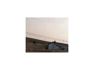 (出售) 平房出租出售，占地面积广，可适合做养殖 汽配图2