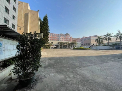 (出租) 汕头珠津工业区整栋出租 2千平阔埕 拖头出入方便 可分割