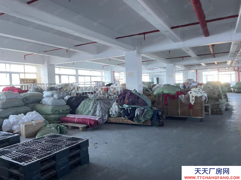 (出租) 汕头珠津工业区整栋出租 2千平阔埕 拖头出入方便 可分割