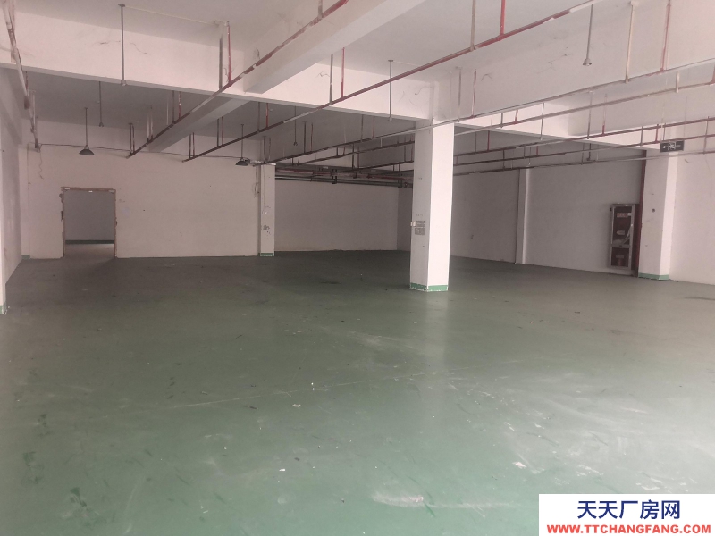 湖州童装生产厂房出租，整层1374平方，3部电梯可用，园区直租不收中介费