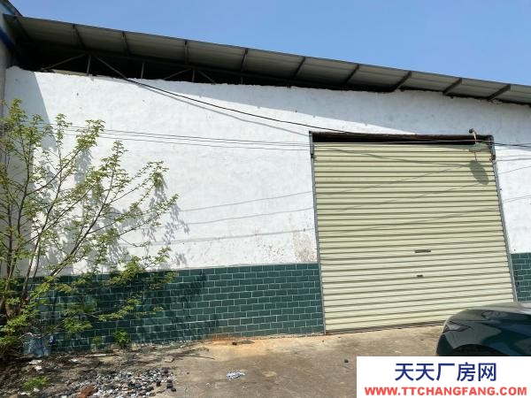 岳阳市岳阳区 独门独院，价格优惠，进出车方便